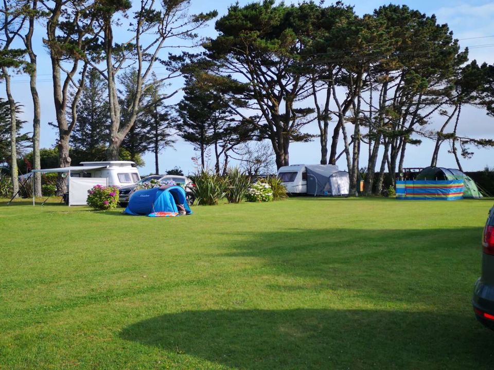 Tents and caravans on the main field