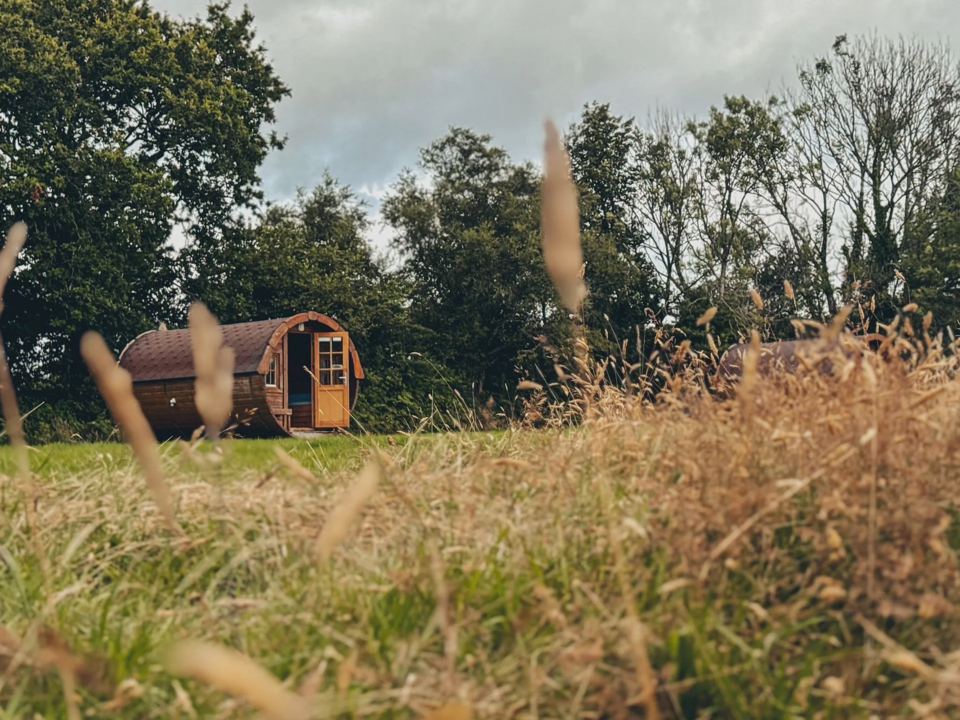 Barrel cabin in tall grass