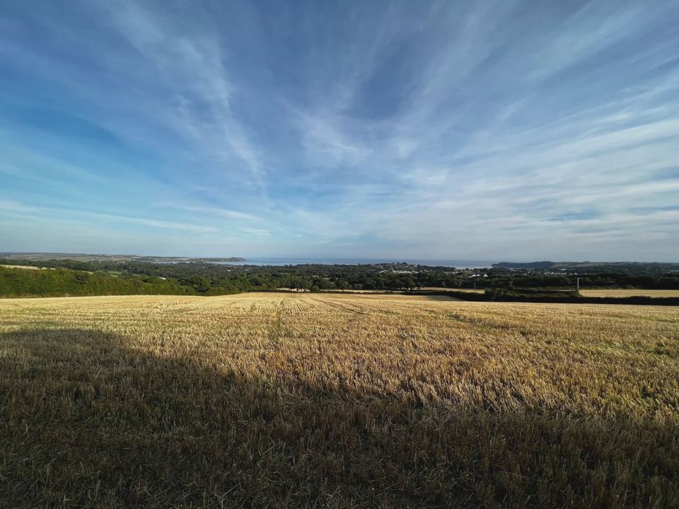 Field view towards the coast