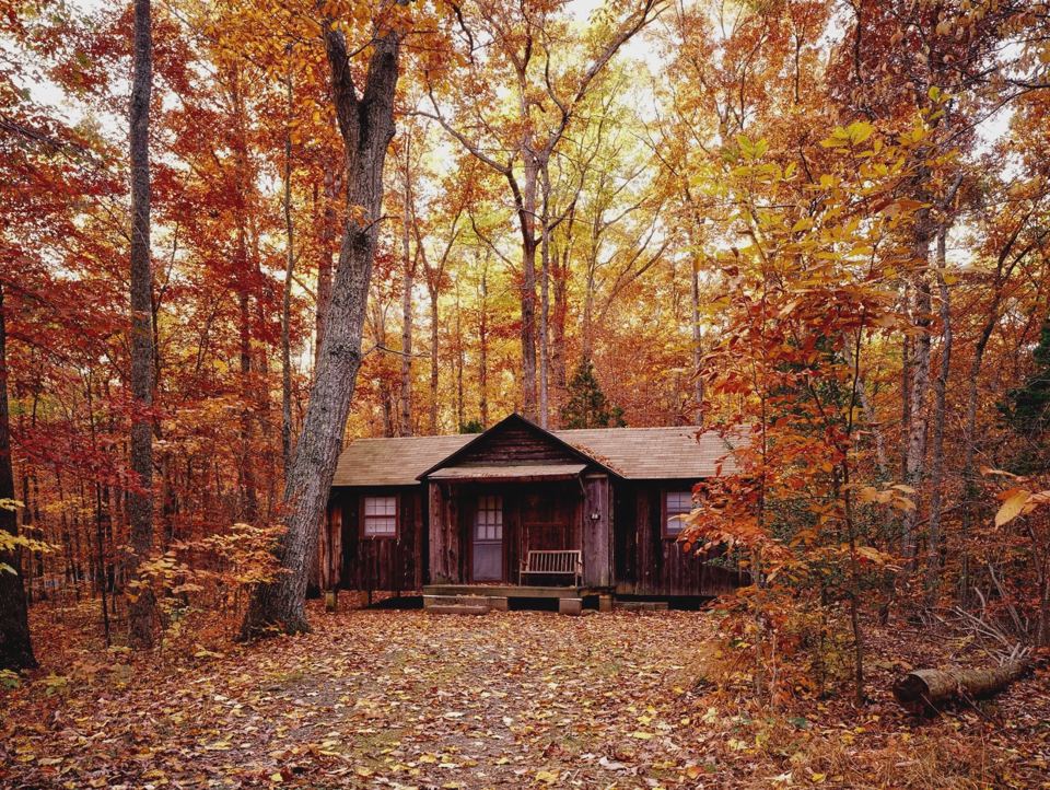 Wooden cabin among autumn trees