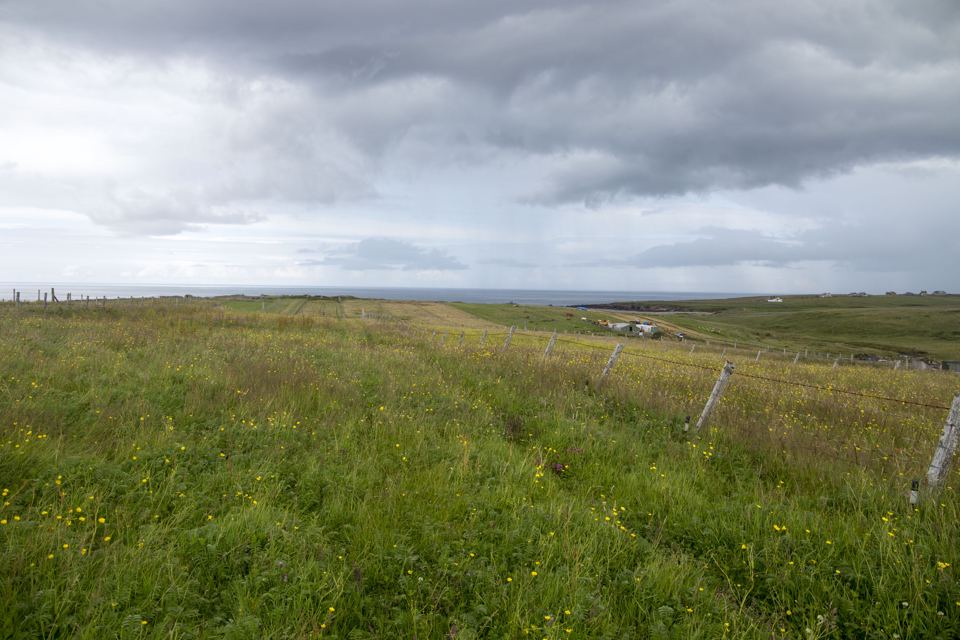 Croft camping land looking to the sea