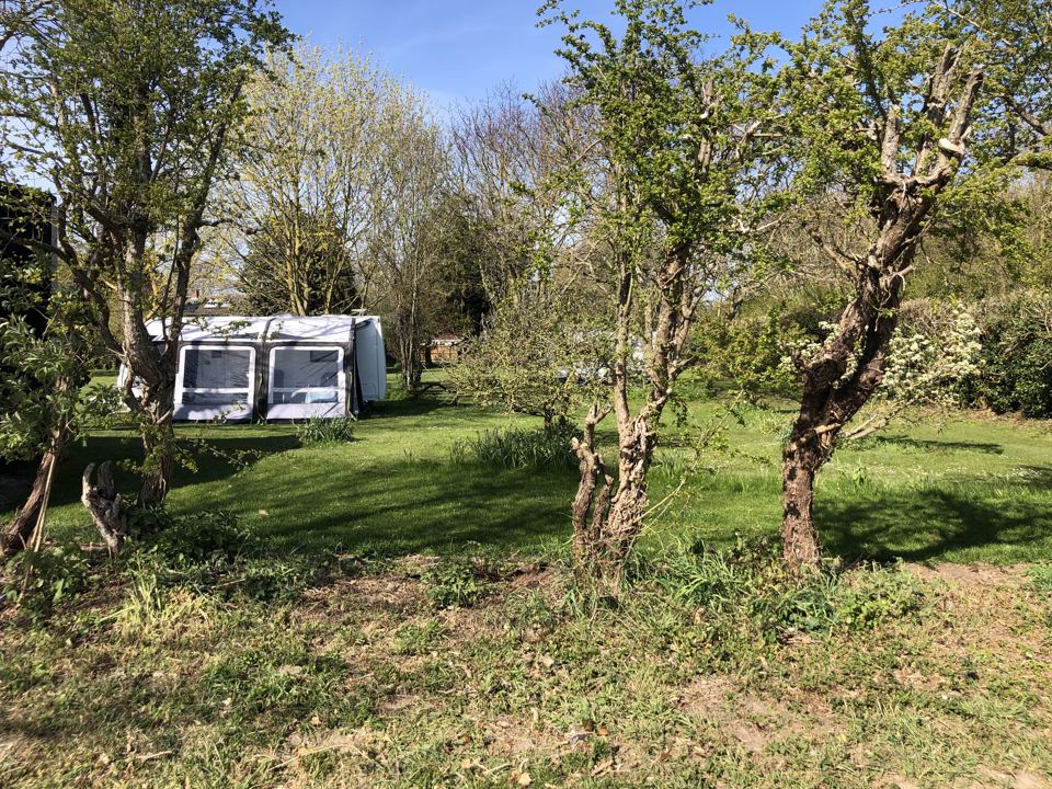 Awning among the orchard trees