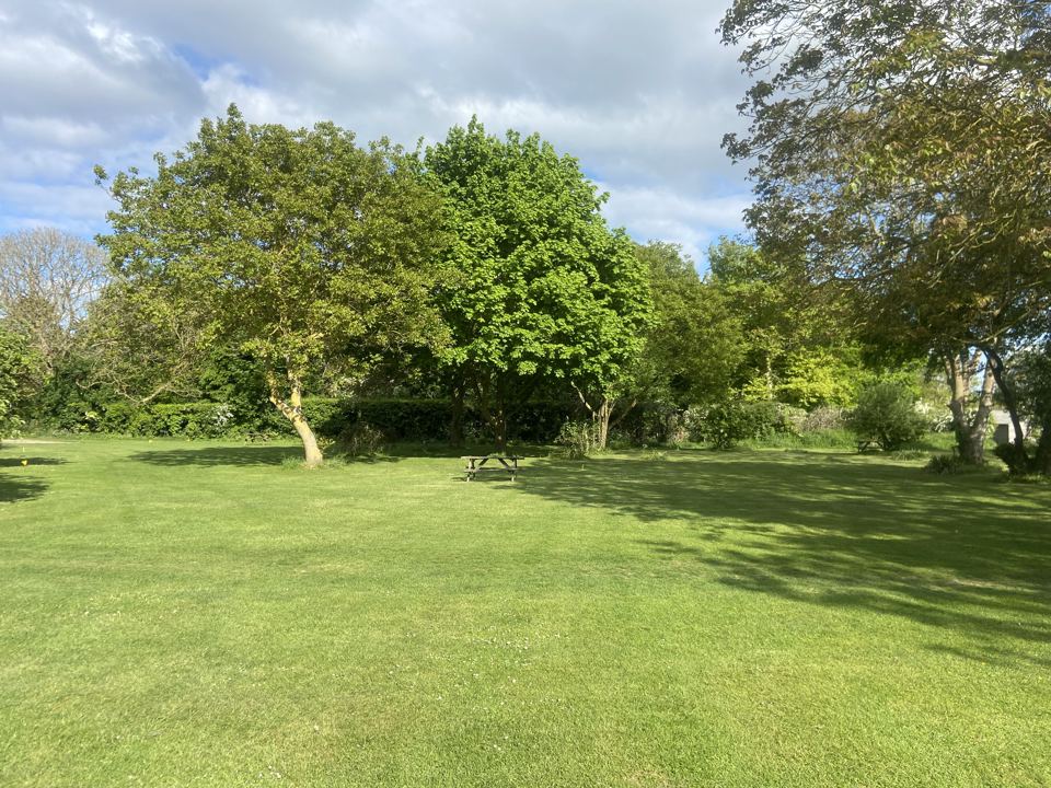 Open lawn in the orchard
