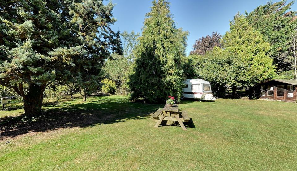 Caravan pitch by the trees