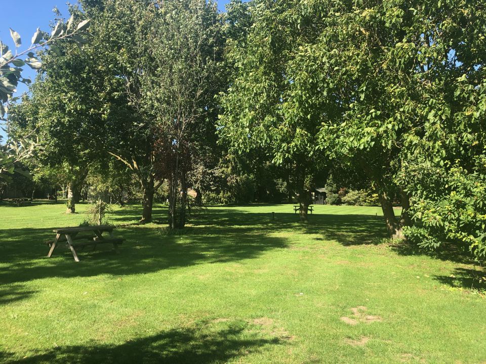 Picnic bench under trees