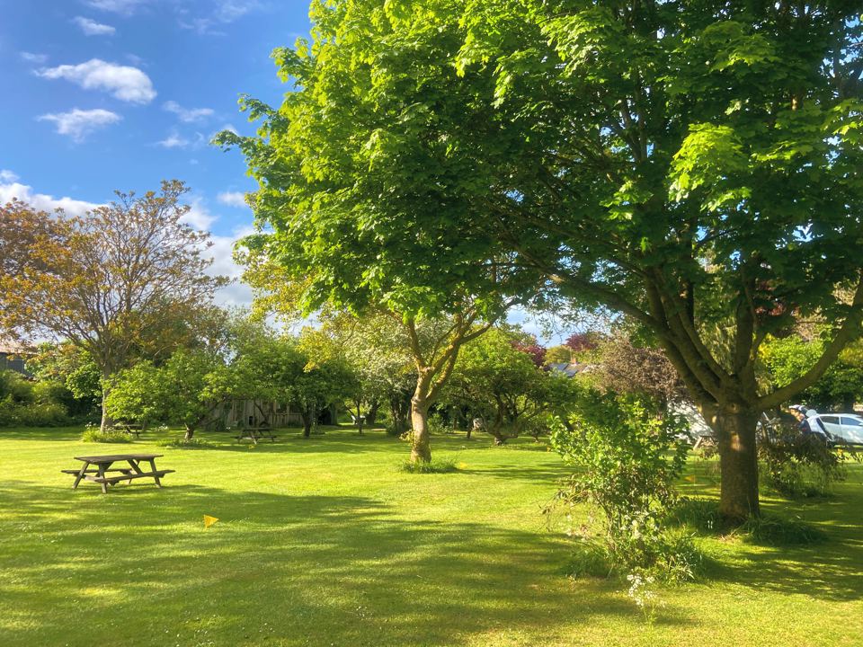 Pitch with picnic bench
