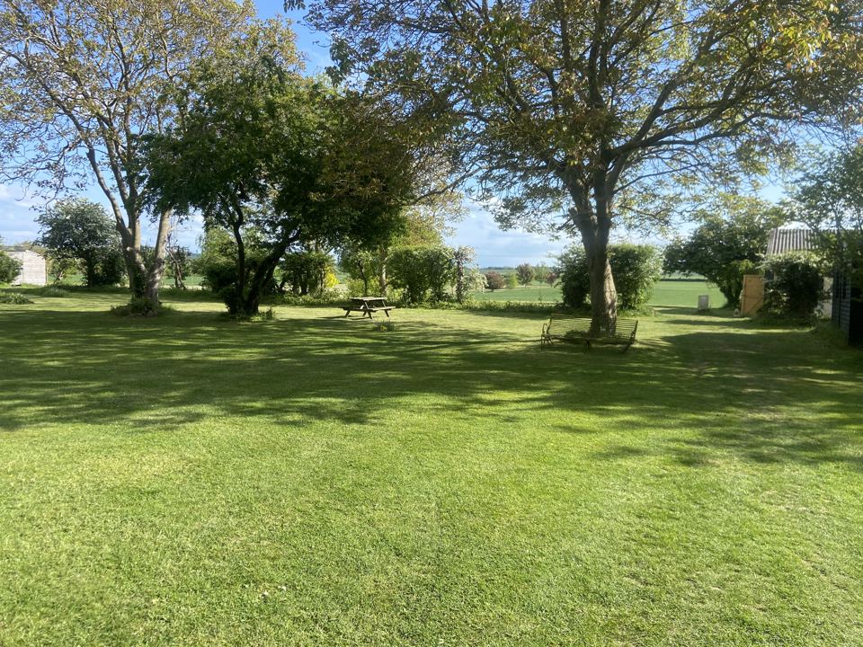 Grass pitches under trees