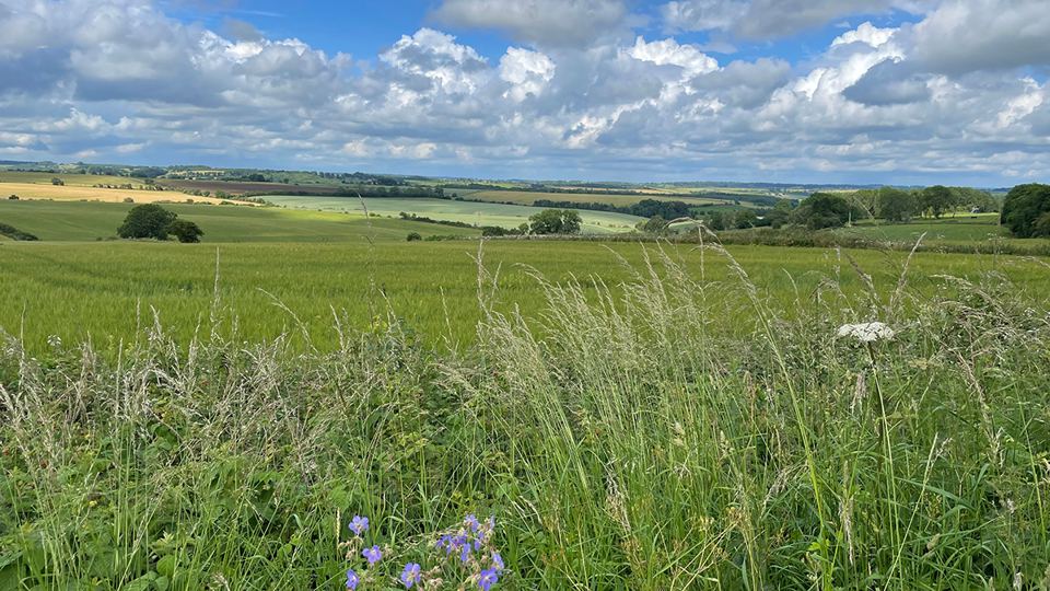 Cotswold fields beside the site