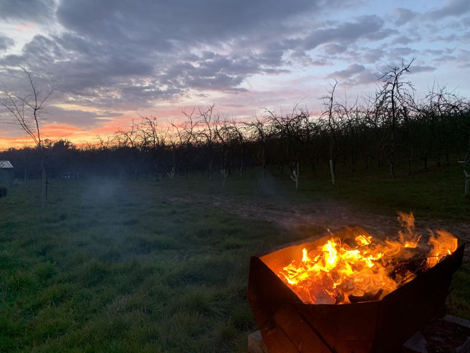 Fire pit in the orchard at dusk