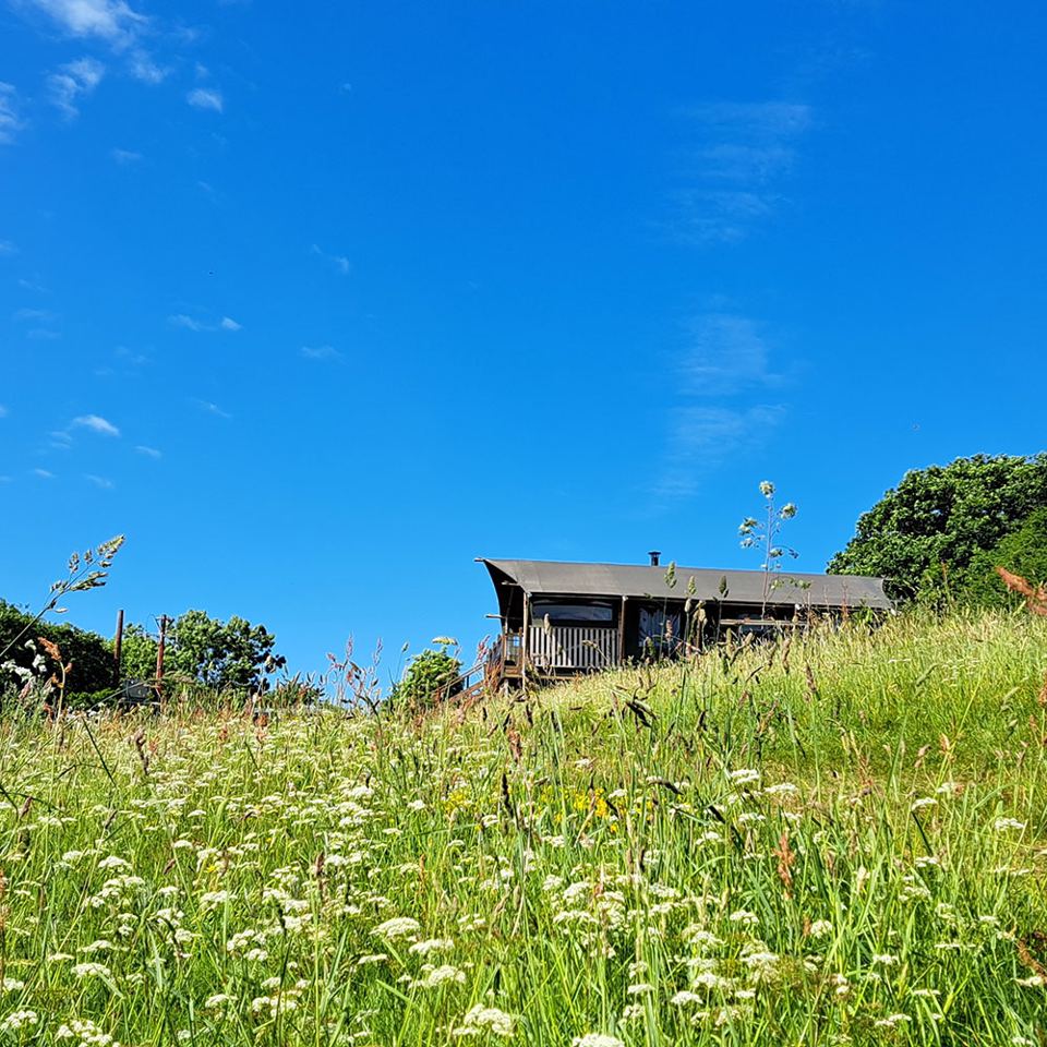 Cabin across a meadow