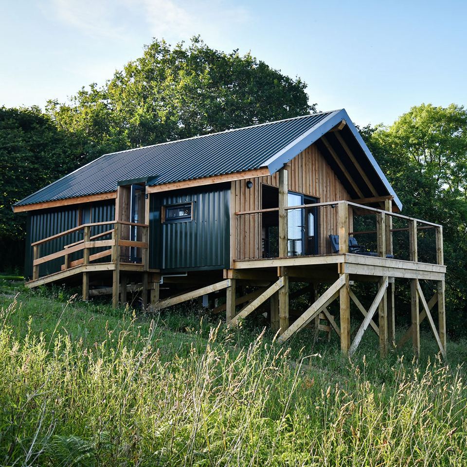 Cabin among the trees