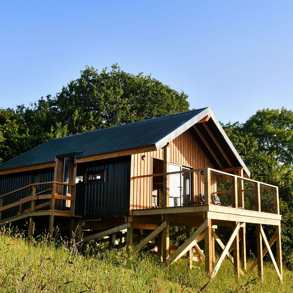 House Martin cabin on stilts