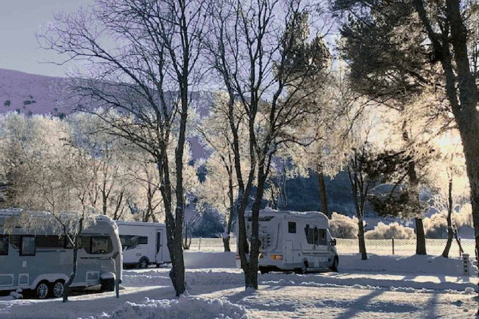 Frosty pitches among trees