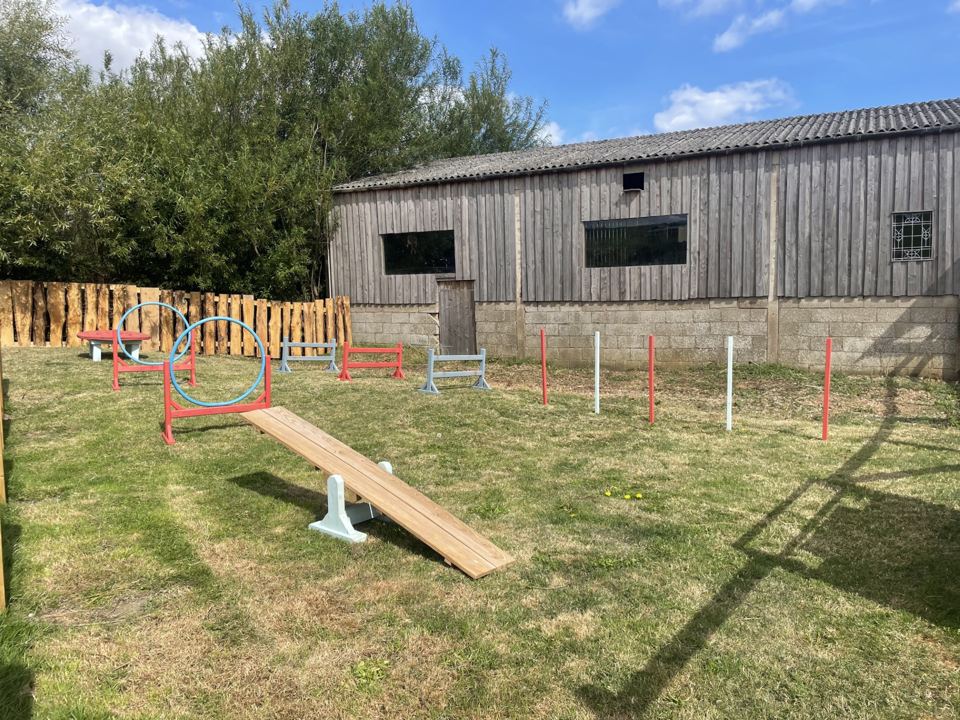 Dog agility play area