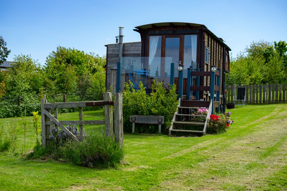 Wagon in the orchard field