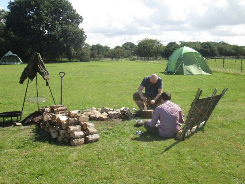 Fire pit and logs in the field