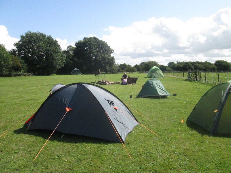 Tents on the grass field