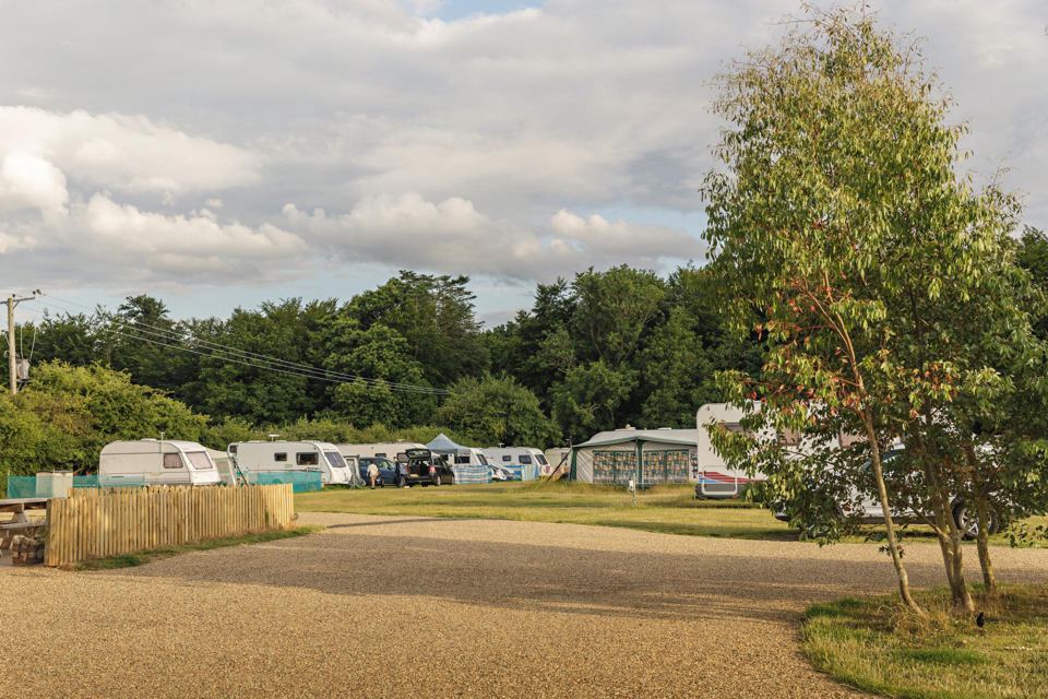 Touring pitches by the trees
