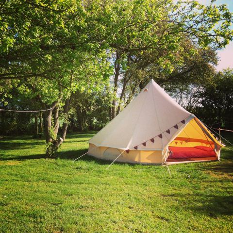 Bell tent under trees