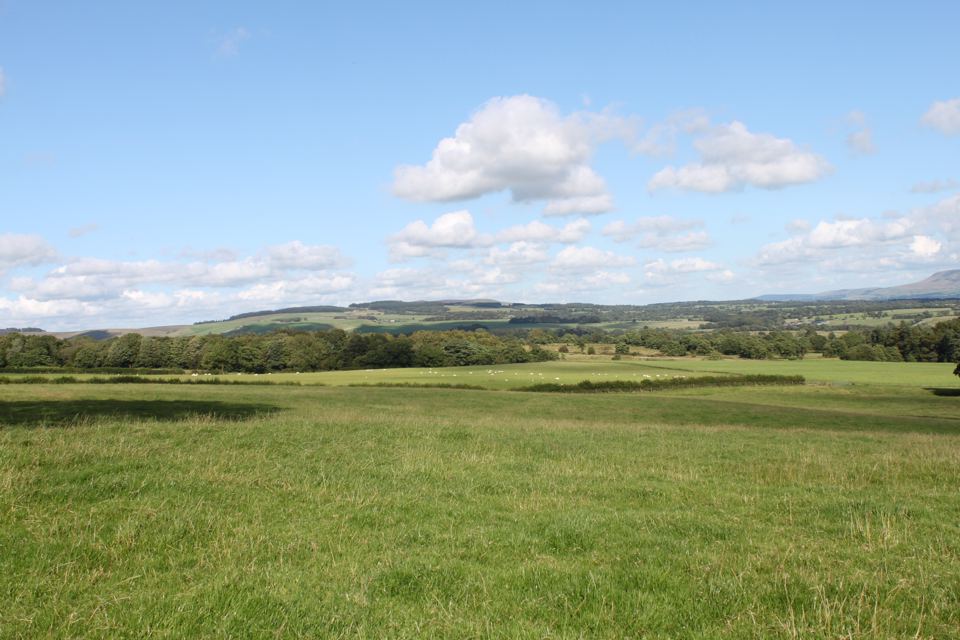 Fields and hills beyond