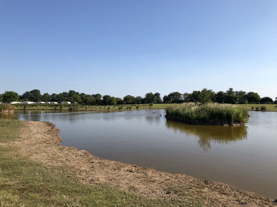 Lake with reed island
