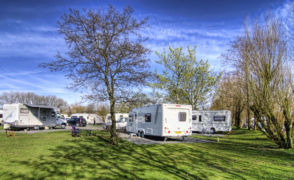 Touring caravans among trees