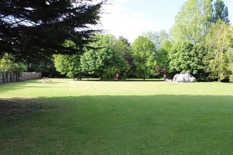 Wide grass field