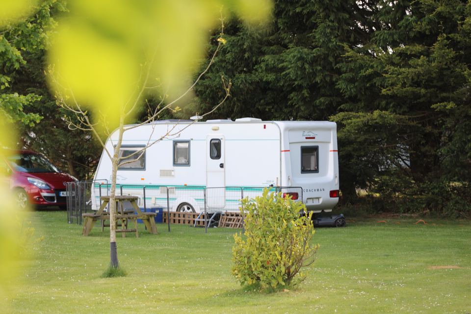 Caravan pitched among trees
