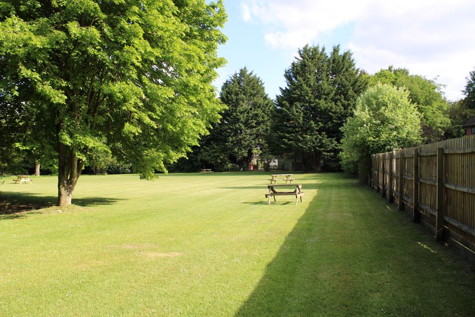 Grass field edged with trees