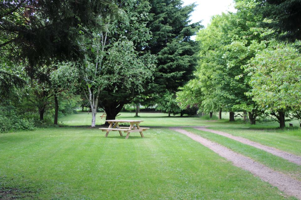 Tree-lined grass track