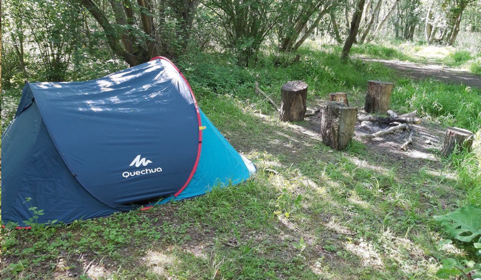 Tent beside firepit logs