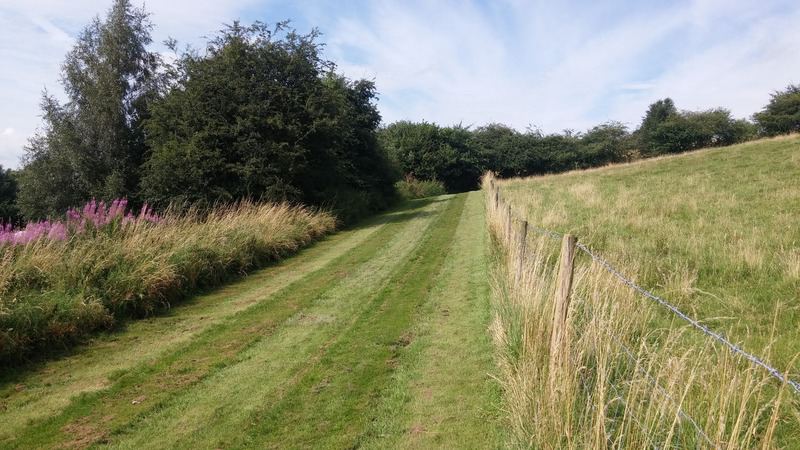 Mown grass strip and hillside