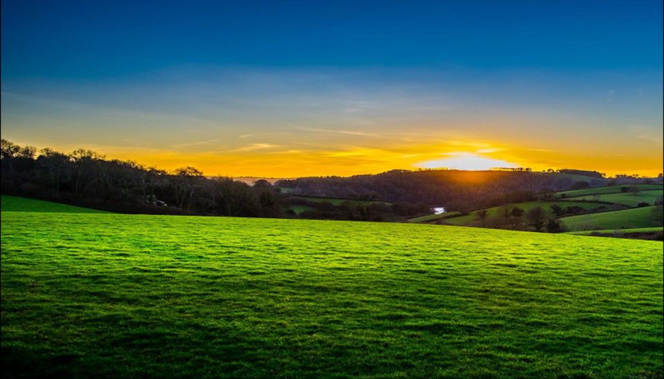 Green field at sunset