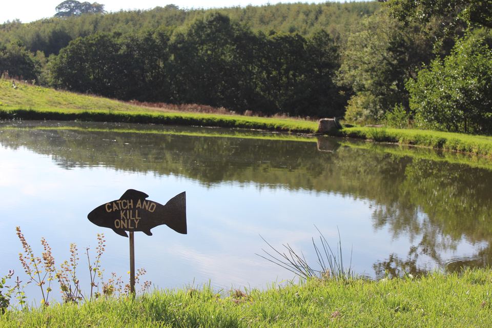 Fishing pond