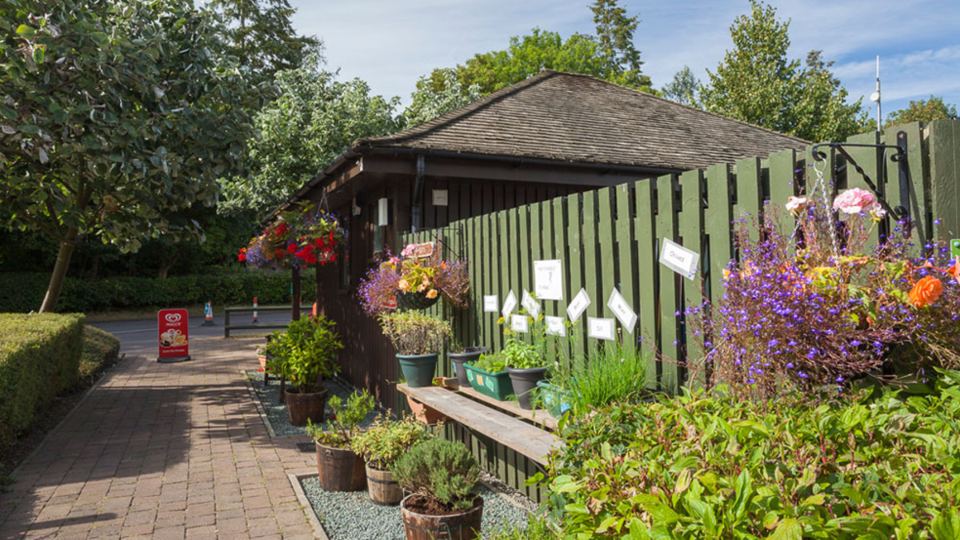 Reception with flower beds