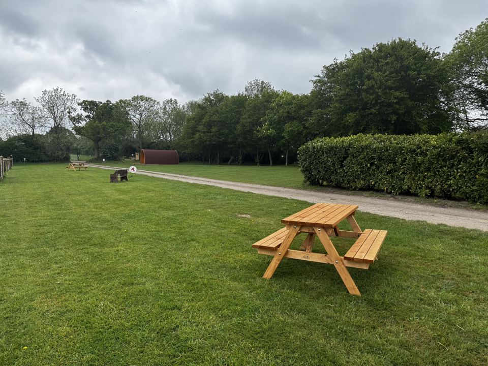 Grass field with picnic table