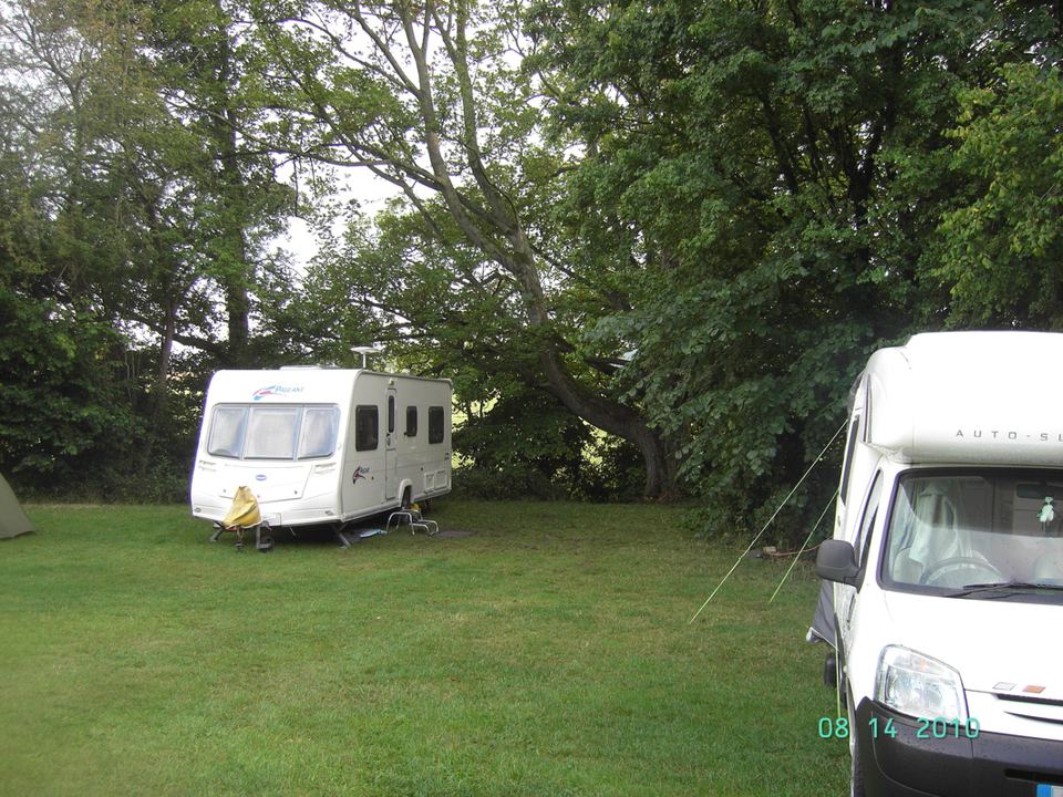 Caravan and motorhome under trees