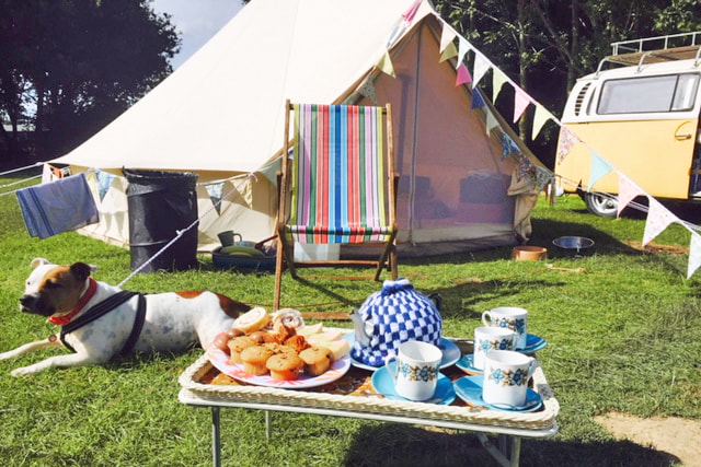 Bell tent and dog on the grass