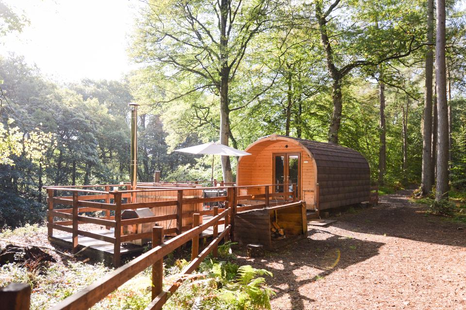 Pod with deck in the woods