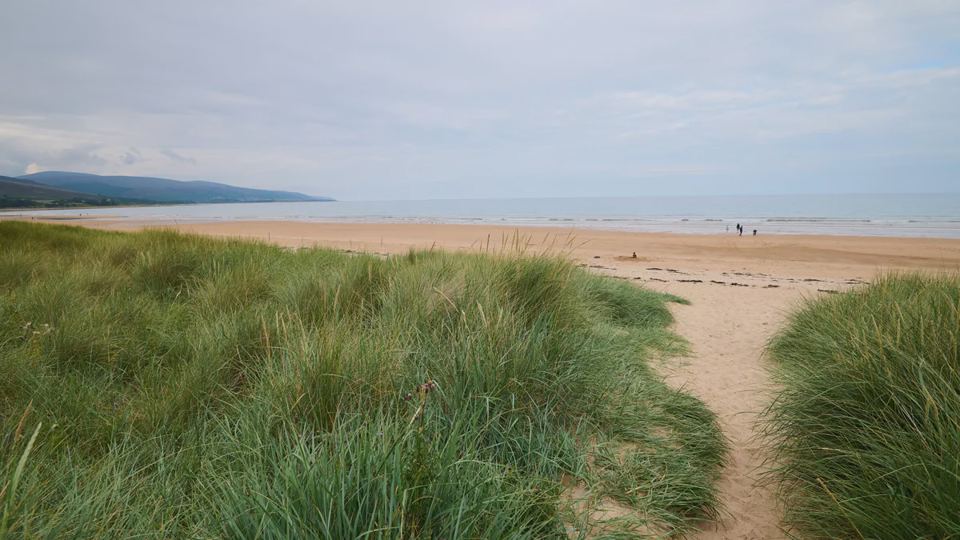 Dunes leading to the beach