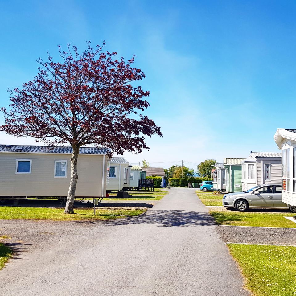 Caravans along a park road
