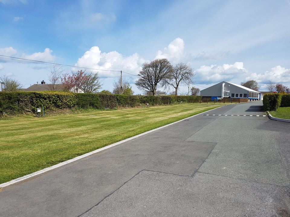 Grass verge and park road