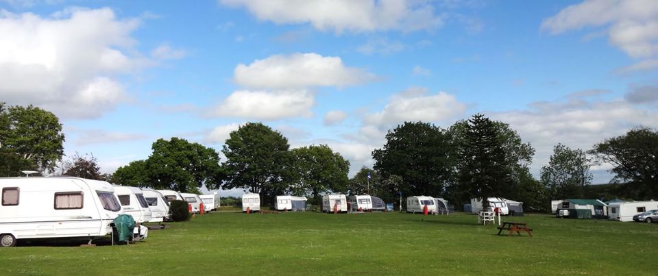 Touring field under the trees