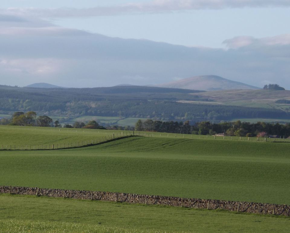 Fields towards the hills