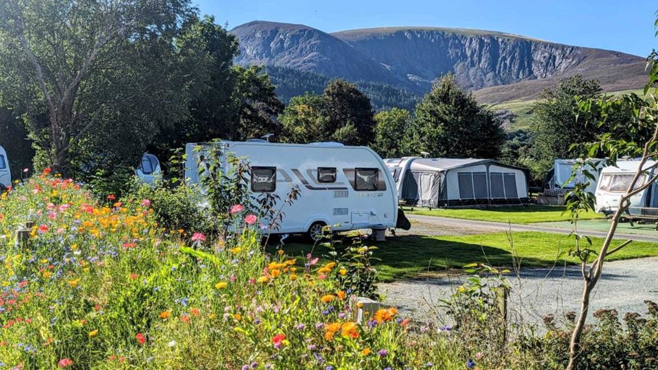 Caravan pitch among wildflowers