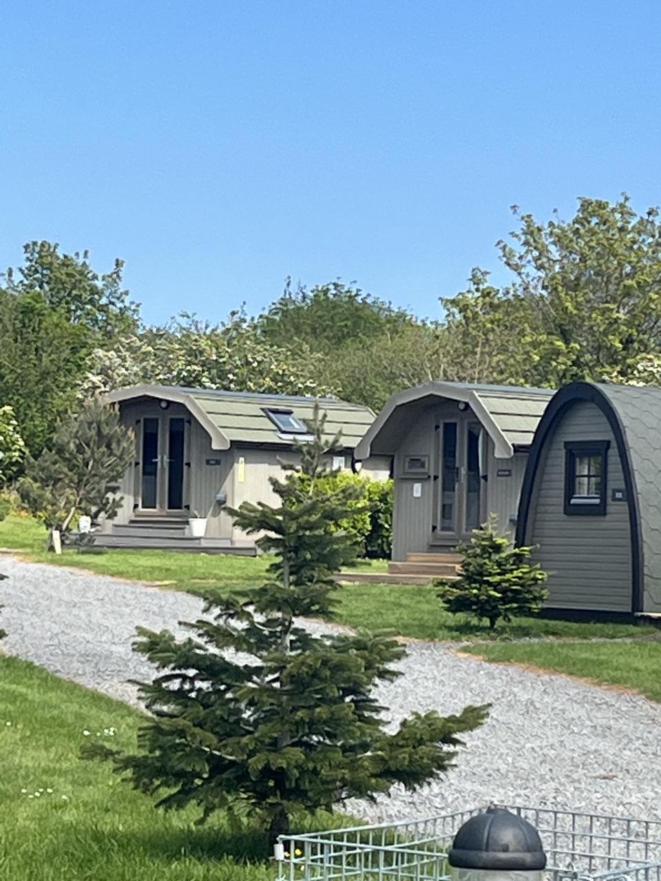 Pods among the trees