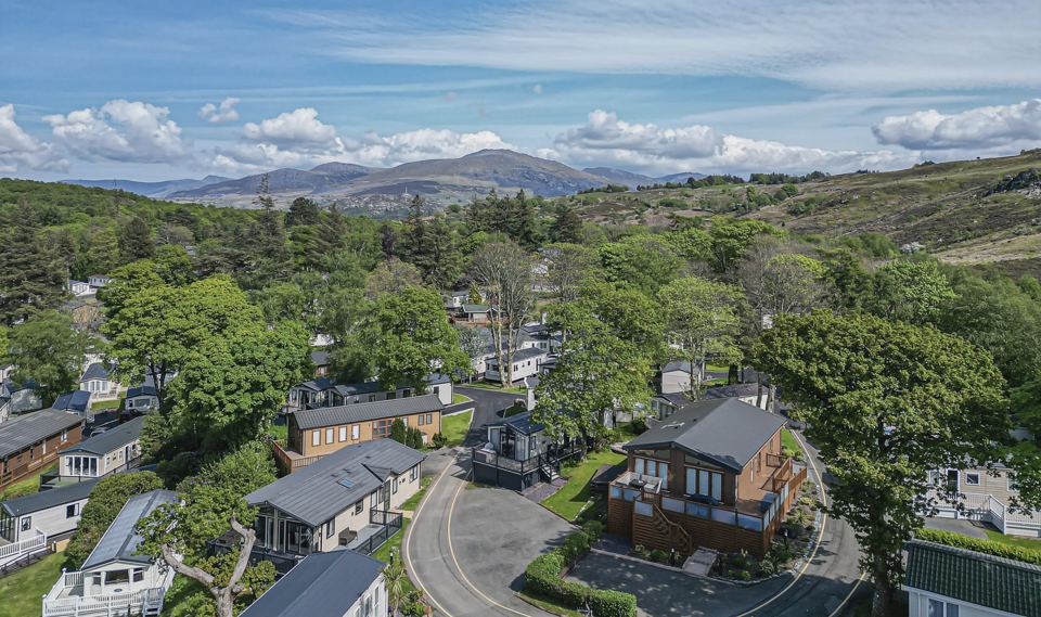 Park from above among trees