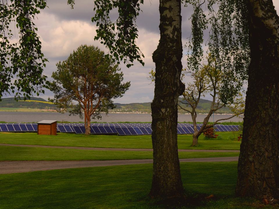 View over the firth through trees
