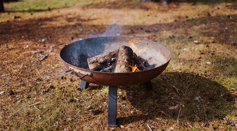 Fire pit with logs