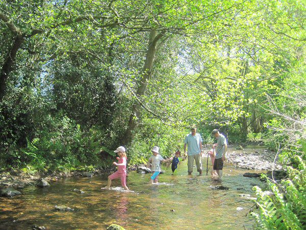 Paddling in the stream